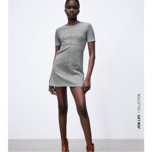 Zara Heather Gray Mini Dress